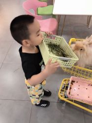 -Moni星球萌宠·小马宝莉·灵蛇·高端高阶全萌宠互动体验俱乐部(红豆国际广场店)