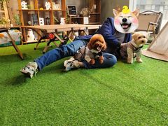 -百好乐宠物友好餐厅(朝外大街店)