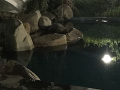 -水底山庄园温泉