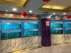 水产区-金龙渔港(双楠店)