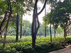 -顺峰山公园