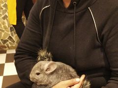 -龙猫仔乐园(惠福东路店)