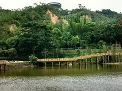 -神光山国家森林公园