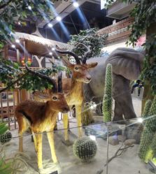-鲁比猴非洲探索部落(喜盈门店)