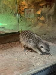 -酷嗒动物文化乐园(cutezoo西溪乐天城店)