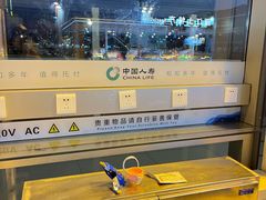 -丽江三义国际机场