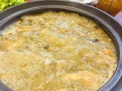 -菌之家·专业纯野生菌火锅·特色炒菌