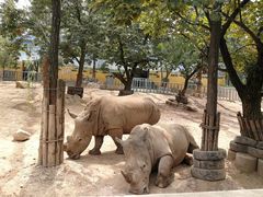 -西安秦岭野生动物园