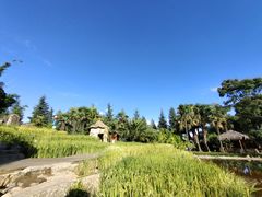 -云南民族村