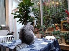 -拾壹cafe·工作室