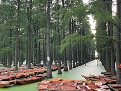 -渌洋湖湿地公园