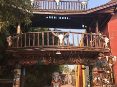 -呀路古热带植物园