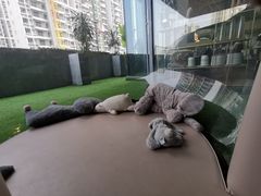 -NOKNOK若蔻亲子餐厅(天地壹方北馆店)