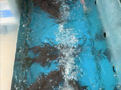 -崔记生活·铁锅炖鱼粘卷子(总店)