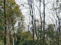 -岳麓山风景名胜区