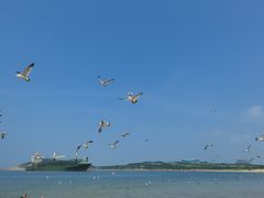 -海驴岛(荣成市)
