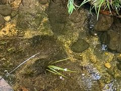 -梅州天地人花园酒店(梅县人民广场店)