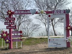 -巢湖姥山岛