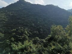 -宁波五龙潭景区