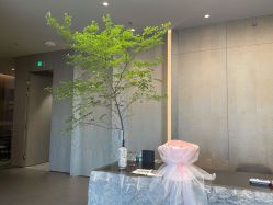 -VELEE·SPA高定疗愈会所