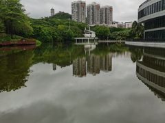 -深圳国际园林花卉博览园