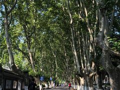 -T80科技文化国际社区-停车场