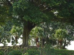 -风云岭森林公园