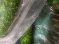 -百果园PAGODA(双塔街郦苑店)