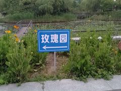-尚贤河湿地