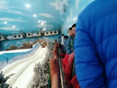 -世界之窗阿尔卑斯冰雪世界