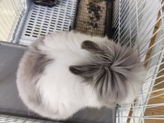 -小意思咖啡店(草桥店)