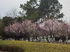 -白塘生态植物园
