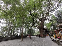 -安溪清水岩