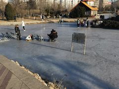 -绿岛公园(滨海新区)