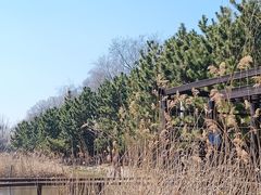 -前关湿地公园