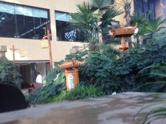 -郑州银基黄帝宫御温泉