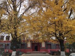 -四川大学(望江校区)