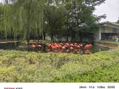 -石家庄市动物园