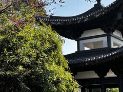 -洋湖国家湿地公园