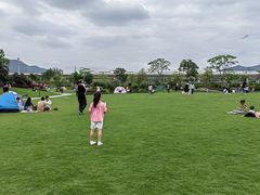 -光明小镇欢乐田园