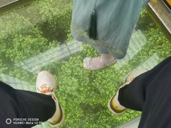 -广州长隆野生动物世界