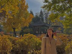 -迎泽公园
