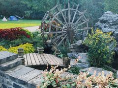 -上海共青森林公园