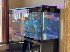 -民族饭荘(新华大街店)