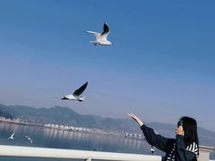 -滇池海埂公园