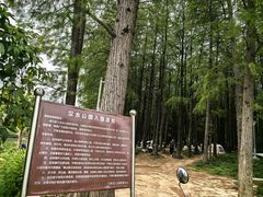 -汉水公园
