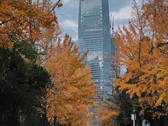 -八大关景区