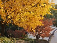 -苏州河梦清园环保主题公园