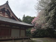 -醍醐寺