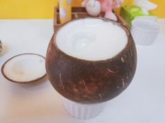 -志龙皇冠吃货椰子铺